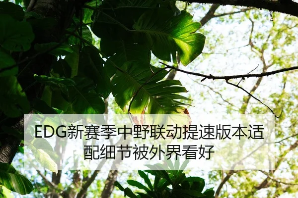 EDG新赛季中野联动提速版本适配细节被外界看好